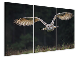 3-piece-canvas-print-the-owl