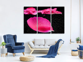 3-piece-canvas-print-the-petals