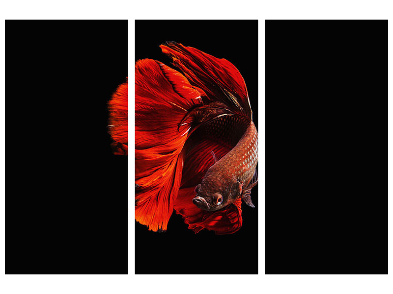 3-piece-canvas-print-the-red