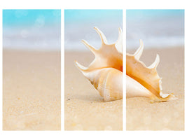 3-piece-canvas-print-the-shell-on-the-beach