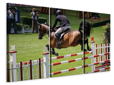 3-piece-canvas-print-the-show-jumper