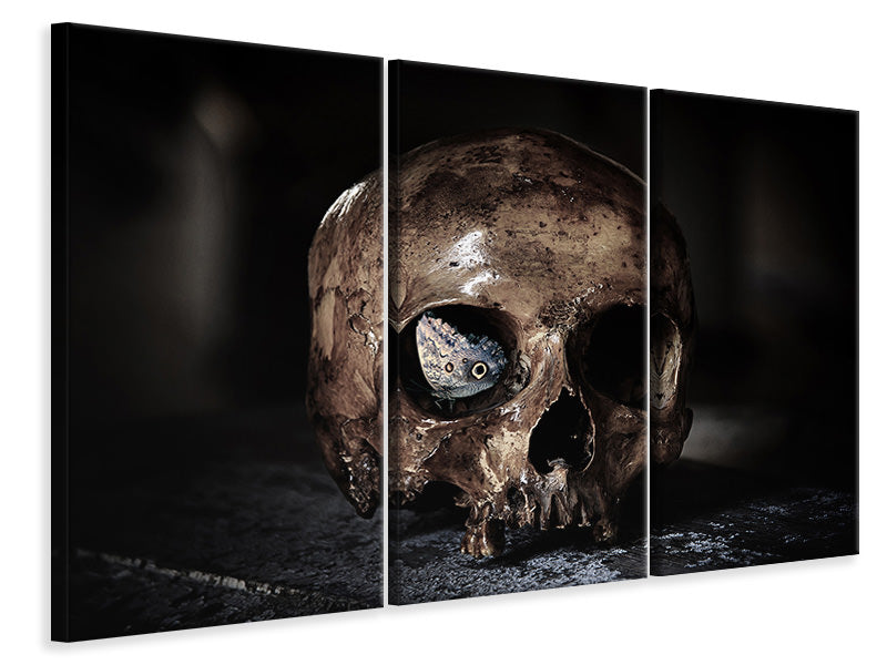 3-piece-canvas-print-the-skull