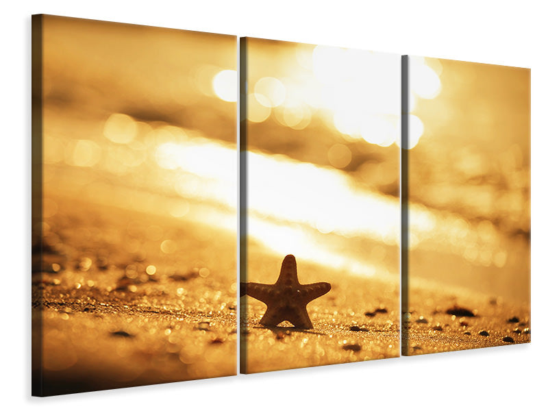 3-piece-canvas-print-the-starfish