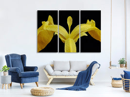 3-piece-canvas-print-the-swamp-iris