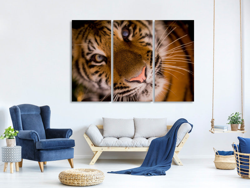 3-piece-canvas-print-tiger-face