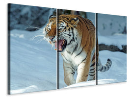 3-piece-canvas-print-tiger-in-the-snow