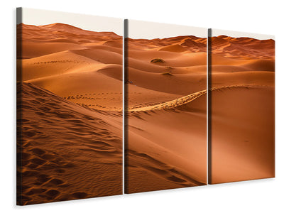 3-piece-canvas-print-traces-in-the-desert