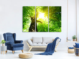 3-piece-canvas-print-tree