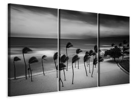3-piece-canvas-print-tropical-storm