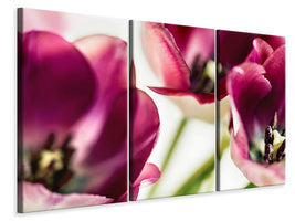 3-piece-canvas-print-tulip-iv