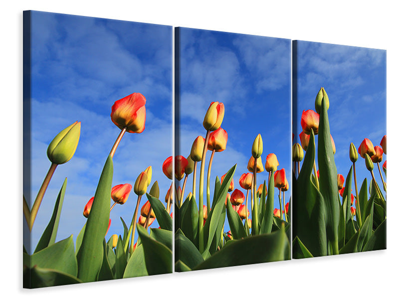 3-piece-canvas-print-tulips-tower-to-the-sky