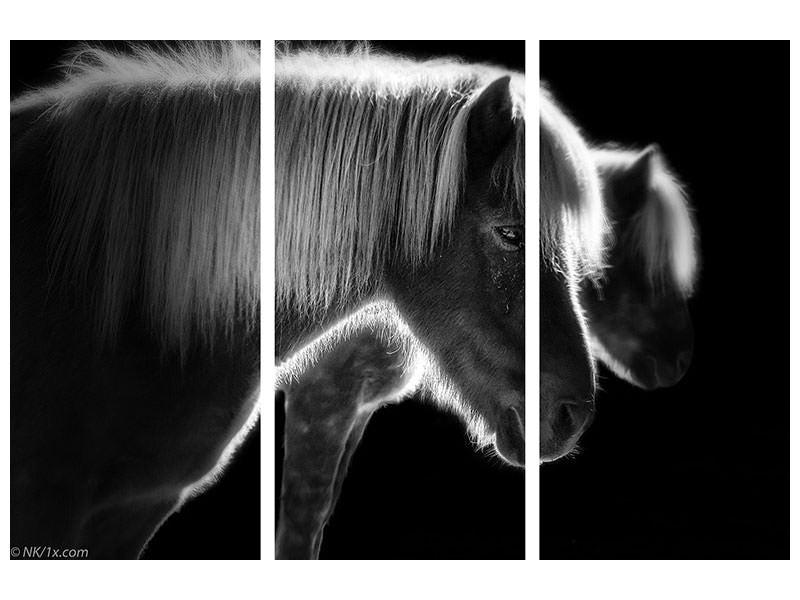 3-piece-canvas-print-two-beautiful-horses