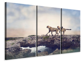 3-piece-canvas-print-two-cheetahs