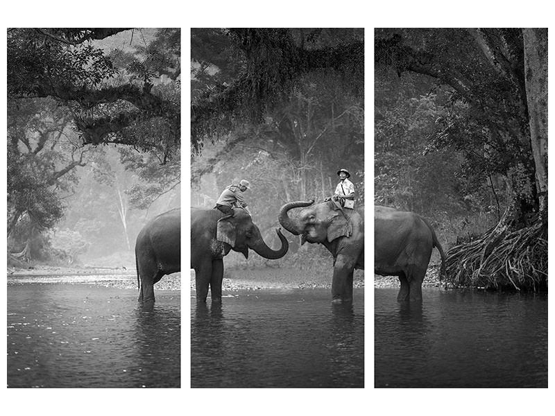 3-piece-canvas-print-two-elephants