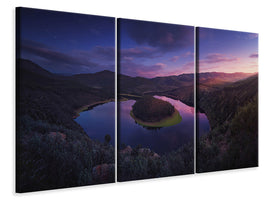 3-piece-canvas-print-u