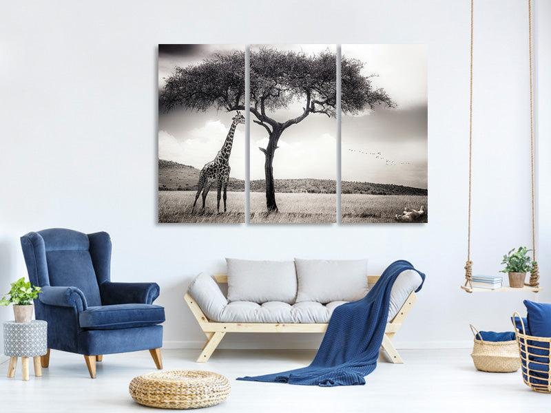 3-piece-canvas-print-under-the-african-sun