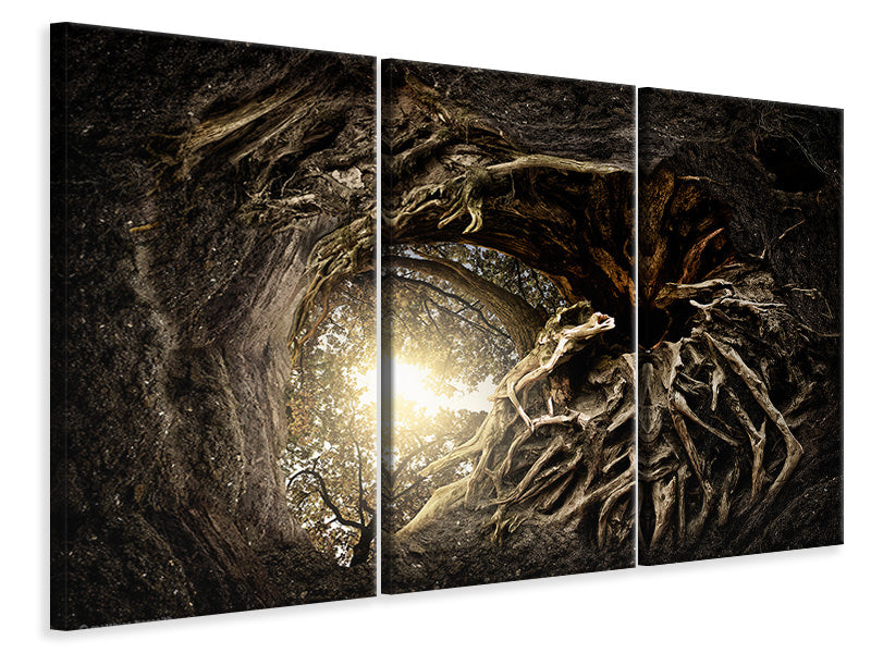 3-piece-canvas-print-under-the-trees