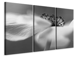 3-piece-canvas-print-untitled-xv