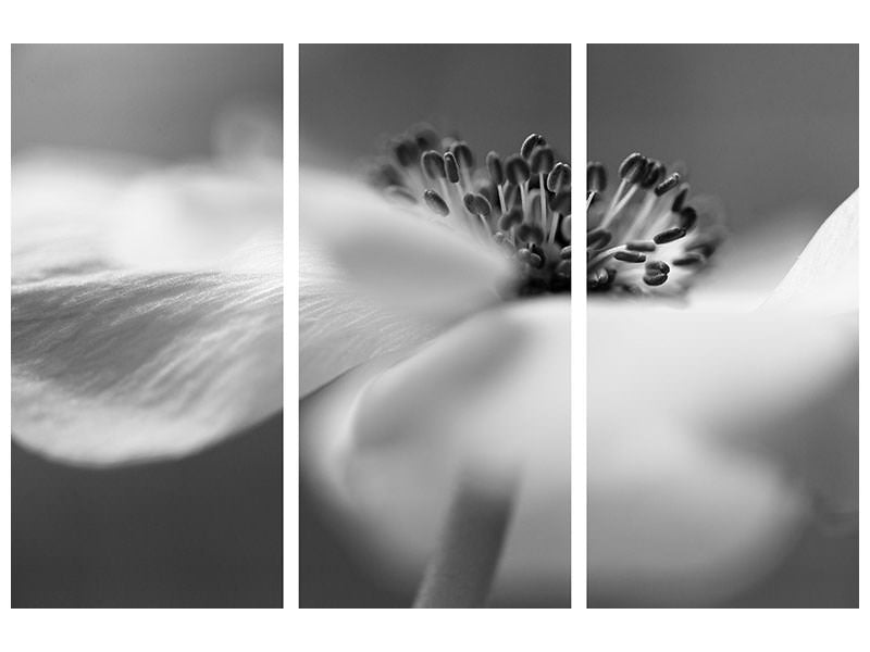 3-piece-canvas-print-untitled-xv