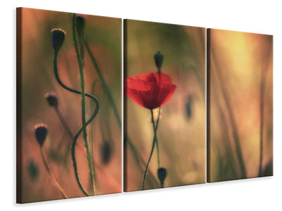 3-piece-canvas-print-untitled-xxviii