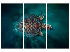 3-piece-canvas-print-valocity-turtle