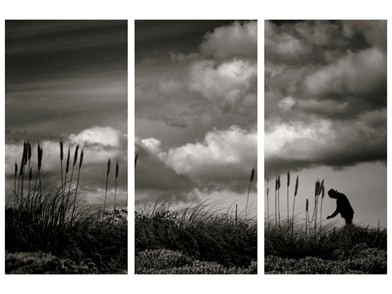 3-piece-canvas-print-waiting-iii