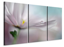 3-piece-canvas-print-where-dreams-come-true