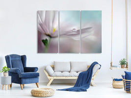 3-piece-canvas-print-where-dreams-come-true