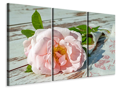 3-piece-canvas-print-wild-rose-in-pink