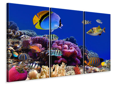 3-piece-canvas-print-world-of-fish