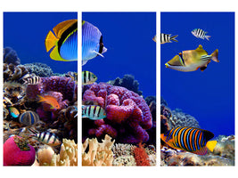 3-piece-canvas-print-world-of-fish