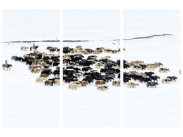 3-piece-canvas-print-yaks-in-snow