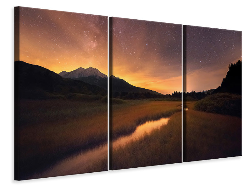 3-piece-canvas-print-zelenci-springs-ii