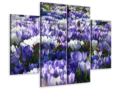 4-piece-canvas-print-a-field-full-of-crocuses