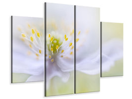 4-piece-canvas-print-anemone-beauty