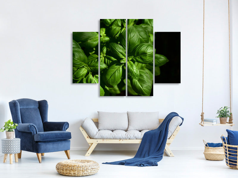 4-piece-canvas-print-basil-in-xl