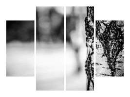 4-piece-canvas-print-birch-trunk