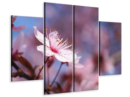 4-piece-canvas-print-close-up-cherry-blossom