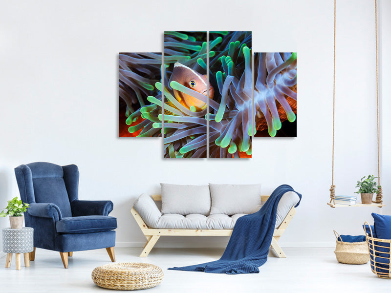 4-piece-canvas-print-clownfish