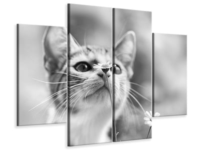 4-piece-canvas-print-curious