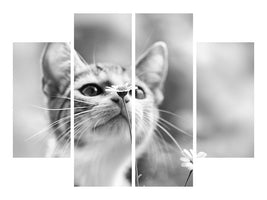 4-piece-canvas-print-curious