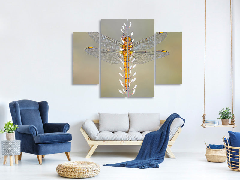 4-piece-canvas-print-dragonfly