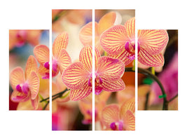 4-piece-canvas-print-exotic-orchids