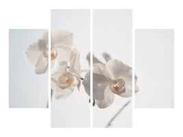 4-piece-canvas-print-graceful-orchids