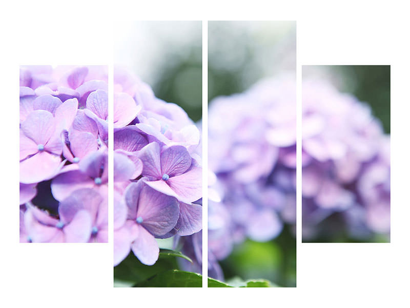 4-piece-canvas-print-hydrangeas