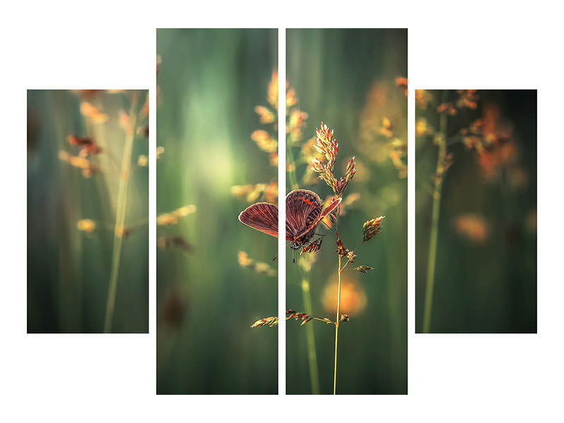 4-piece-canvas-print-last-light