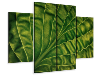 4-piece-canvas-print-leaf-of-a-hosta