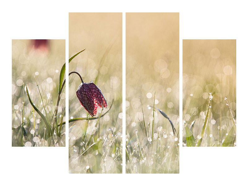 4-piece-canvas-print-morningdew