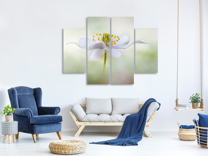 4-piece-canvas-print-nemorosa