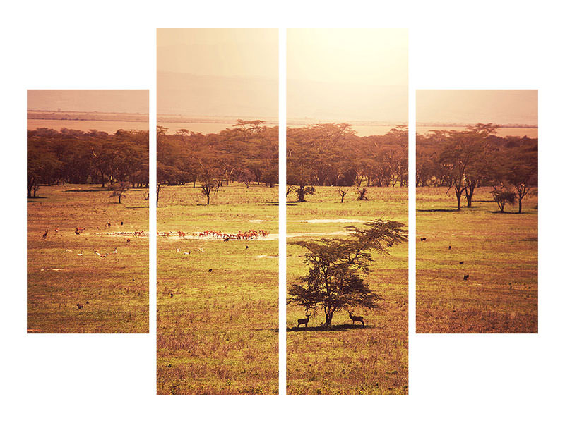 4-piece-canvas-print-picturesque-africa